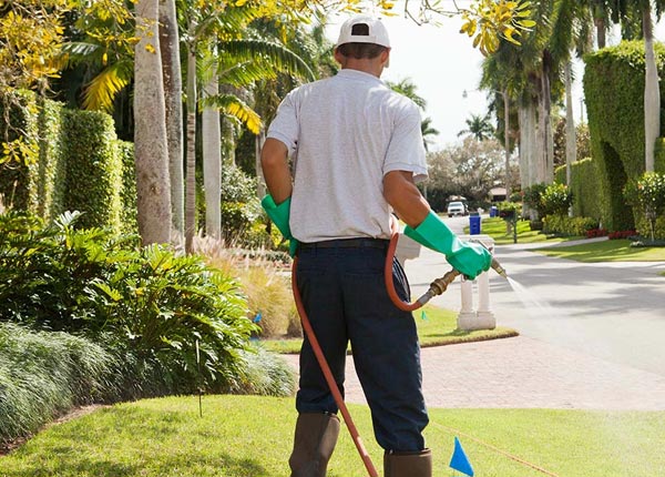 About Modoc SC Pest Control Pros